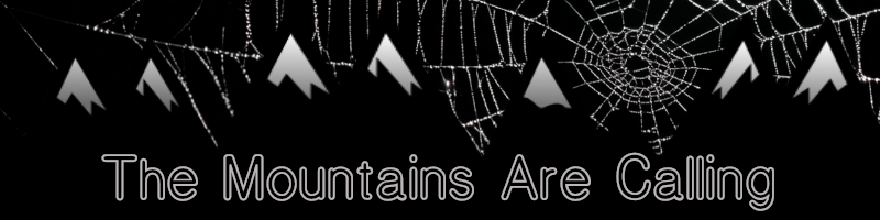 Why Don’t Spiders Get Stuck in Their Webs?