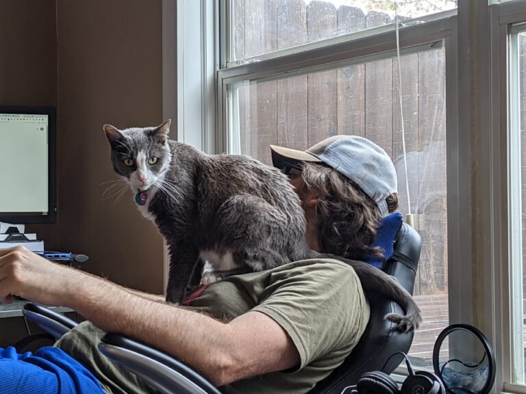 A cat sits on the chest of a person sitting in a chair, obstructing the person's view