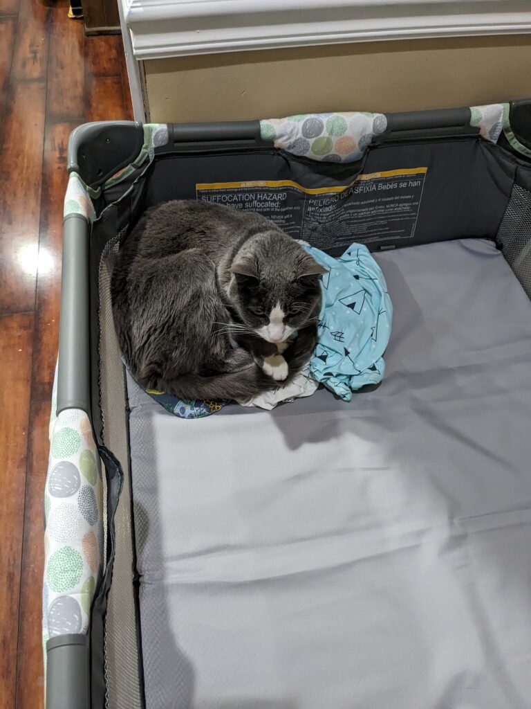 A cat lies in the corner of a baby crib