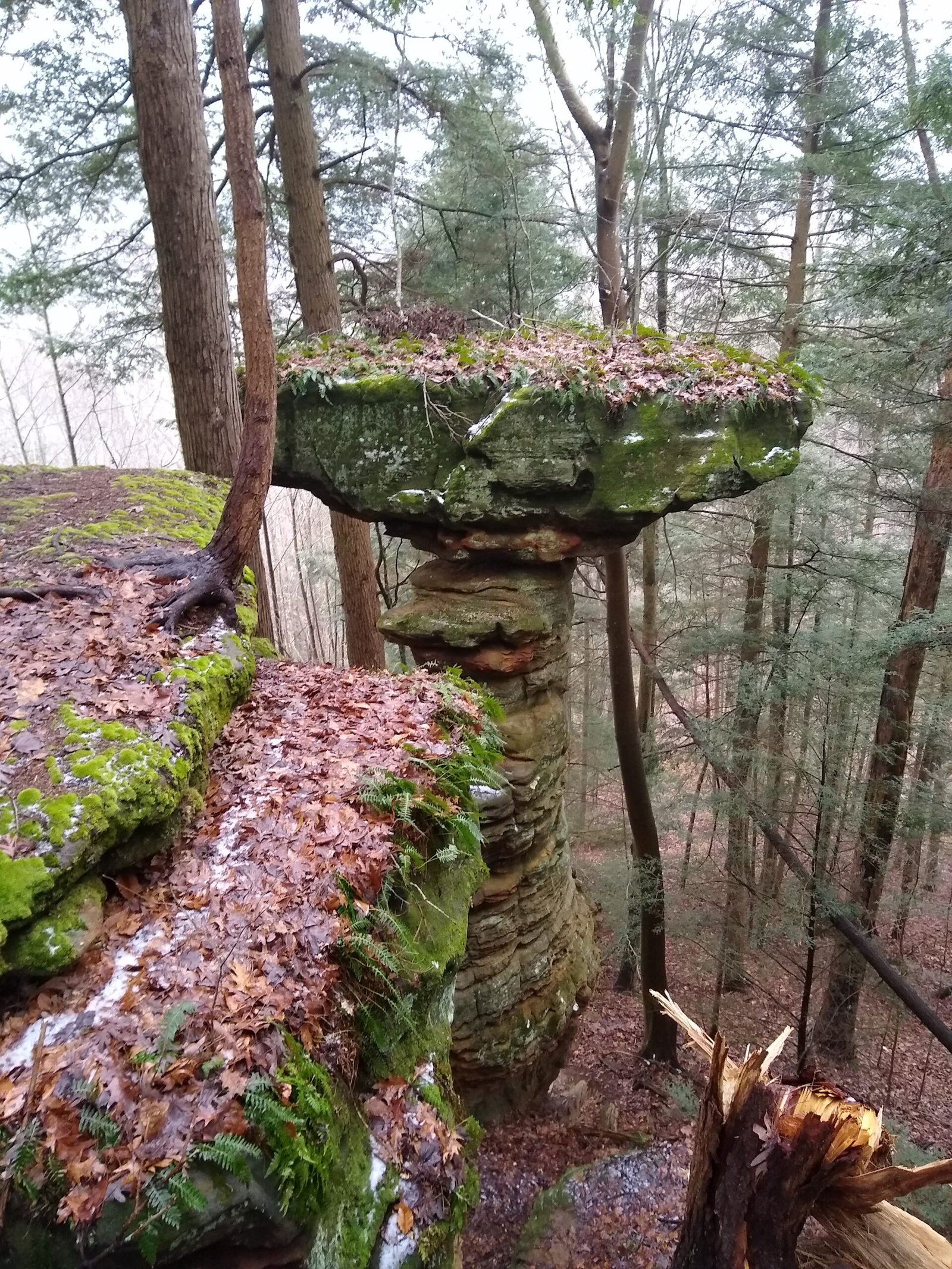A large horizontal rock sits on top of a pillar, precariously balanced, with a forest in the background showing its large scale
